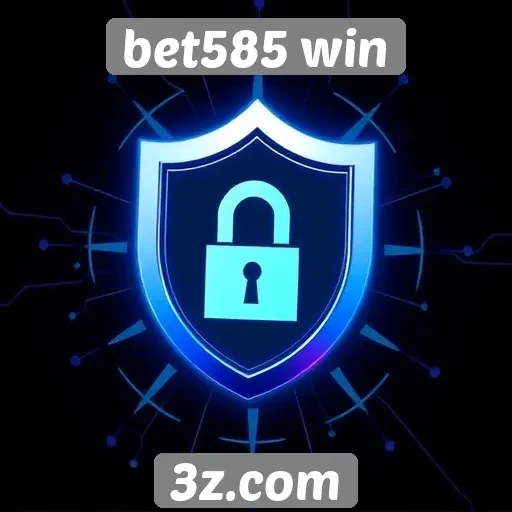 Recursos de segurança no site bet585 win